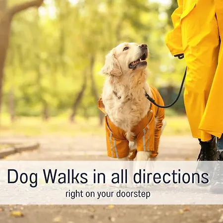 Paulis Cozy 4-bedroom Vacation - With 4 Bathrooms Sun Terrace & Sauna, To Hike & Bike, To Chil & Meet בית נופש