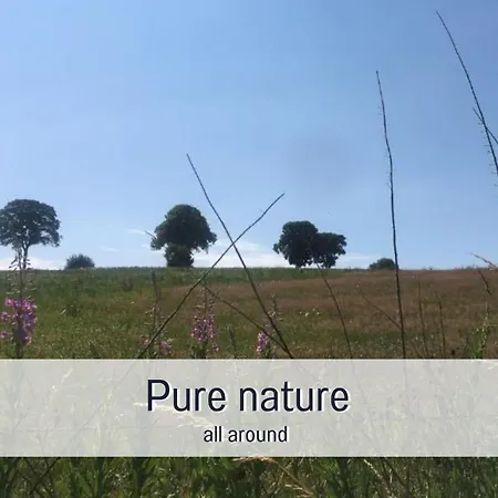 別荘 Paulis Cozy 4-bedroom Vacation - With 4 Bathrooms Sun Terrace & Sauna, To Hike & Bike, To Chil & Meet