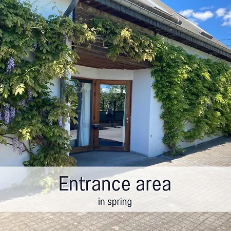 別荘 Paulis Cozy 4-bedroom Vacation - With 4 Bathrooms Sun Terrace & Sauna, To Hike & Bike, To Chil & Meet