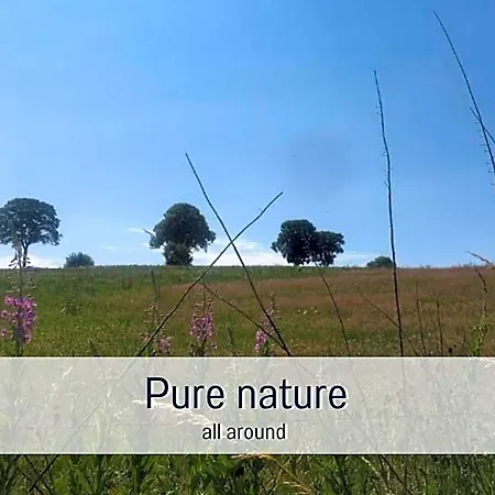 Hébergement de vacances Paulis Cozy 4-bedroom Vacation - With 4 Bathrooms Sun Terrace & Sauna, To Hike & Bike, To Chil & Meet Bullange