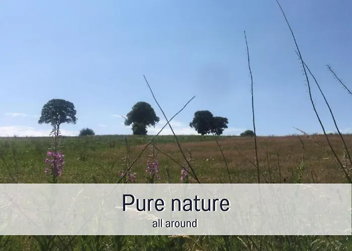 Σπίτι διακοπών Paulis Cozy 4-bedroom Vacation - With 4 Bathrooms Sun Terrace & Sauna, To Hike & Bike, To Chil & Meet