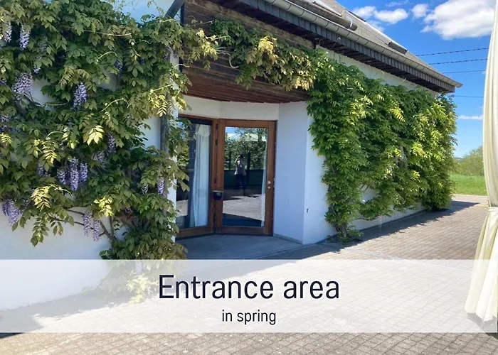 Σπίτι διακοπών Paulis Cozy 4-bedroom Vacation - With 4 Bathrooms Sun Terrace & Sauna, To Hike & Bike, To Chil & Meet